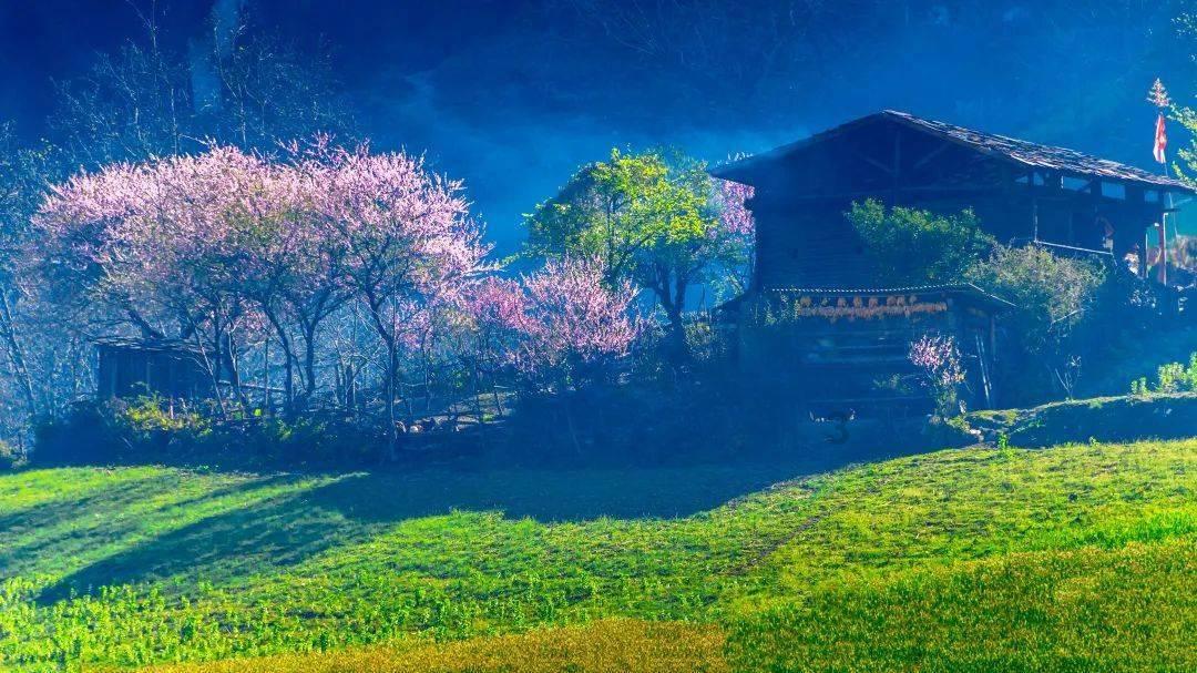 竞技宝one